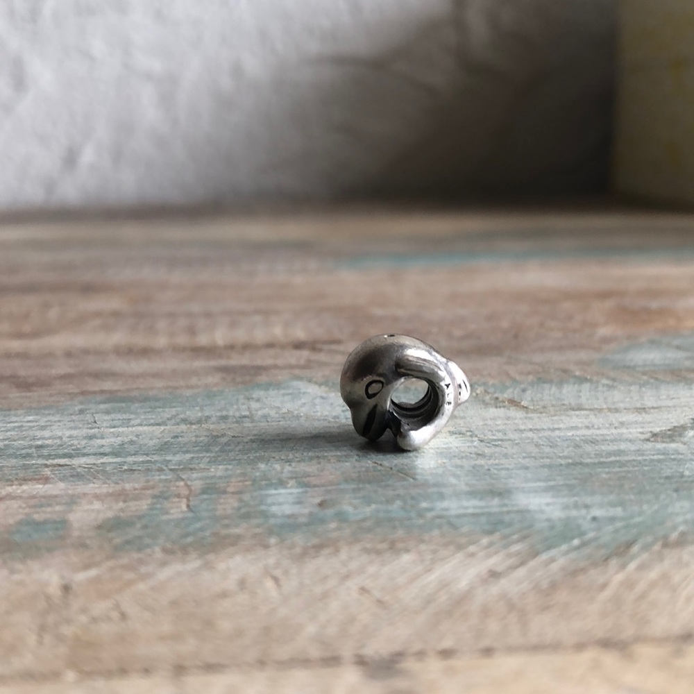 Pandora charm